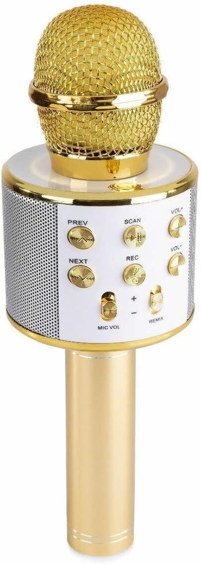 MAX KM01 Bluetooth Karaoke Mikrofon mit Lautsprecher, USB, Micro SD, MP3-Player, Mikro mit Echo, Sti