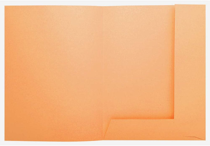 Exacompta Super 250 PACK 50 Hemden für A4 2 Klappen 24 x 32 cm 24 x 32 Orange, Orange