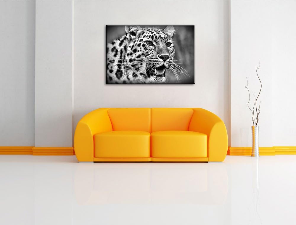 Pixxprint ausgewachsener Leopard / 100x70cm Leinwandbild bespannt auf Holzrahmen/Wandbild Kunstdruck