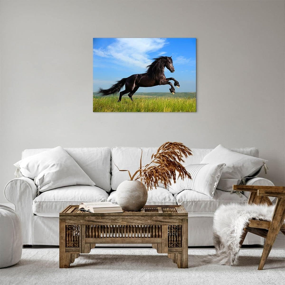 Bilder auf Leinwand Schwarzes Pferd Pferd Galopp Leinwandbild 70x50cm Wandbilder Dekoration Wohnzimm