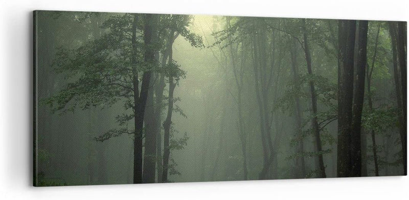 Panorama Bilder auf Leinwand 100x40cm Leinwandbild mit Rahmen Wald Nebel Baum Gross Wanddeko Bild Sc