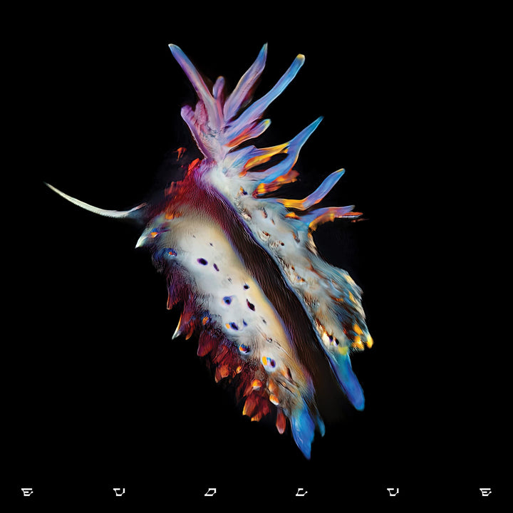 Evolve, Vinyl