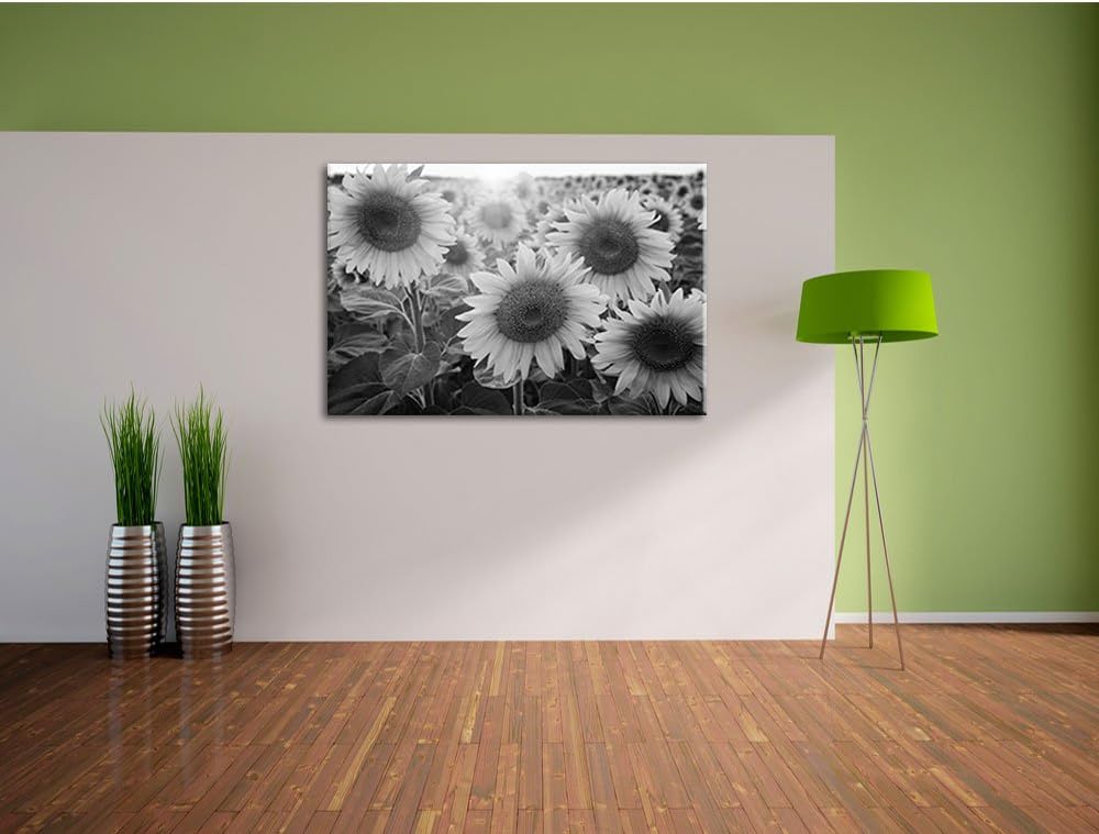 Pixxprint Sonnenblumen auf dem Feld als Leinwandbild | Grösse: 100x70 cm | Wandbild | Kunstdruck | f