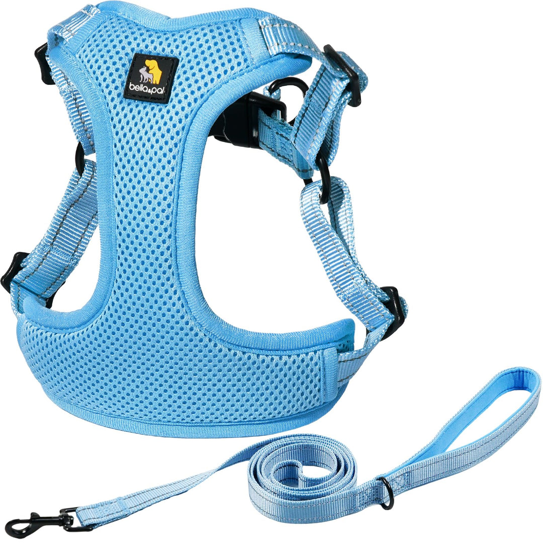 BELLA & PAL Hundegeschirr und Leine Set, Step-in Design mit atmungsaktivem Air-Mesh, reflektierenden