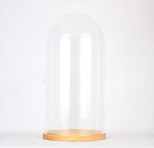 EMH Grosse Glasglocke natur, Durchmesser 21 cm, Höhe 51,5 cm, Glaskuppel 50 cm, Holzsockel, Transpar