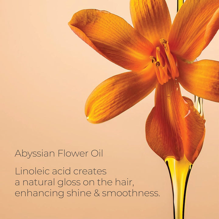 L'ANZA 23010A Keratin Heilöl-Glanz-Shampoo, 300 ml 300.00 ml (1er Pack) Shampoo, 300.00 ml (1er Pack