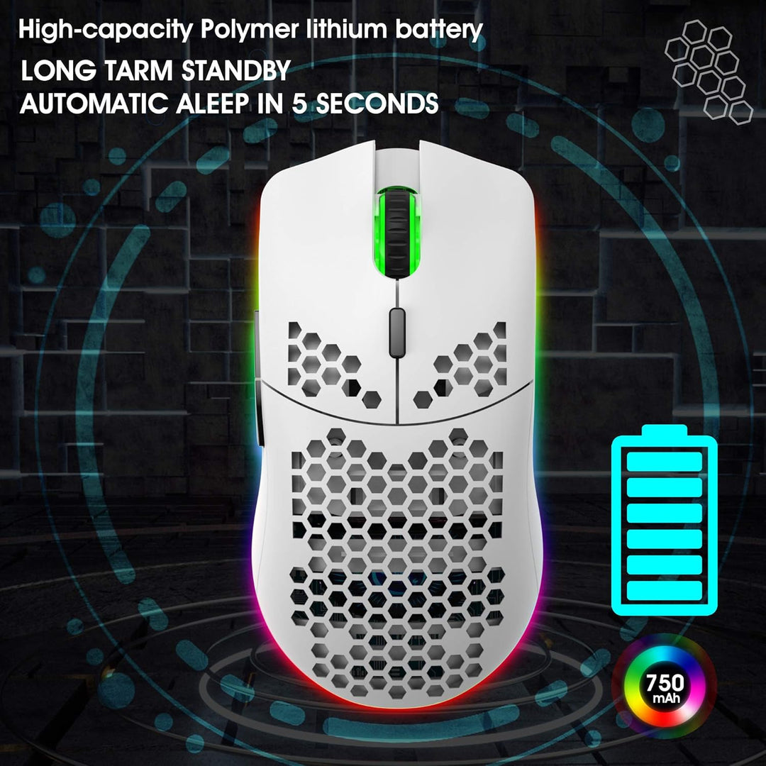 Drahtlose Gaming Maus, 2,4G Superleichte Wabenschale Ergonomische RGB-Mäuse mit 750mAh Akku, Energie