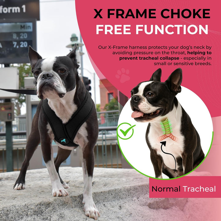 Gooby Choke Free Comfort X Hundegeschirr, weich, Grösse S, Schwarz 11.75-15.5" schwarz, 11.75-15.5"