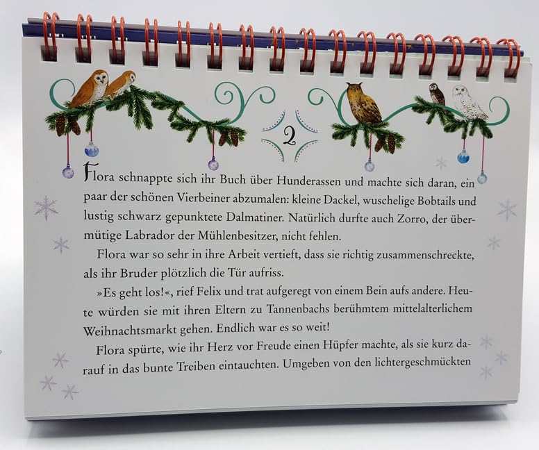 Eulenzauber. Funkelnde Weihnachtswünsche: Eine Adventskalender-Geschichte zum Aufstellen mit XXL-Pos