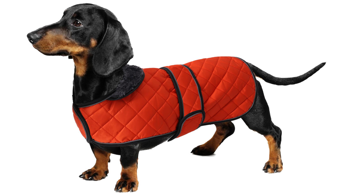 Geyecete - Warmer wintermantel für dackel Hunde,Hunde Winterjacken mit plüschfutter,Outdoor jacken m