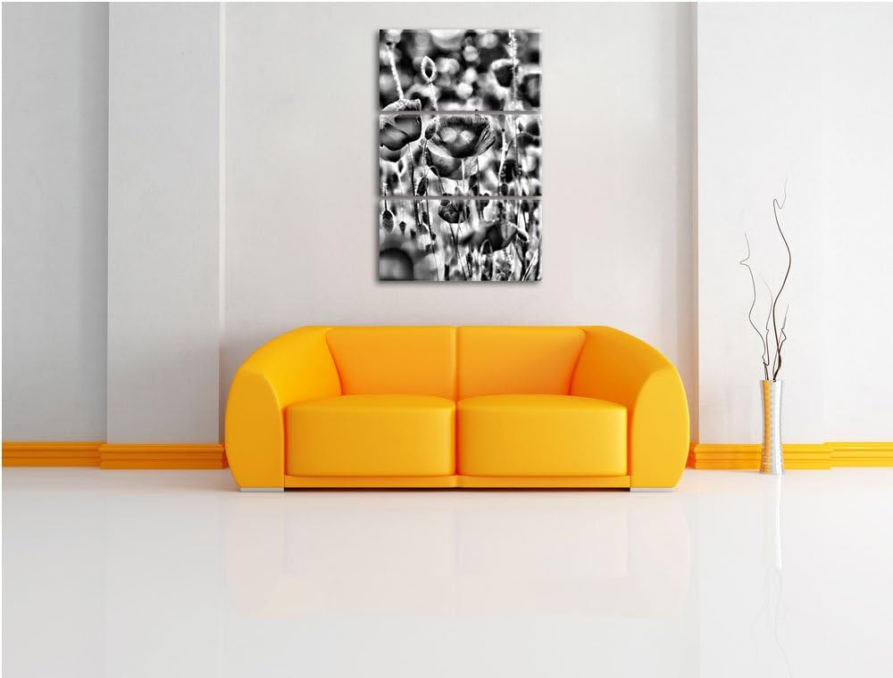 Pixxprint Mohnwiese als Leinwandbild/Grösse: 3 Teilig (120x80) cm/Wandbild/Kunstdruck/fertig bespann