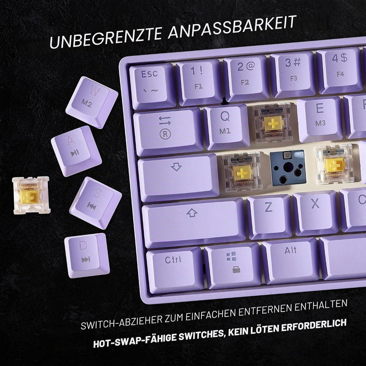 HK Gaming GK61 mechanische 60 Prozent Tastatur | 61 programmierbare Tasten mit RGB Beleuchtung | Win