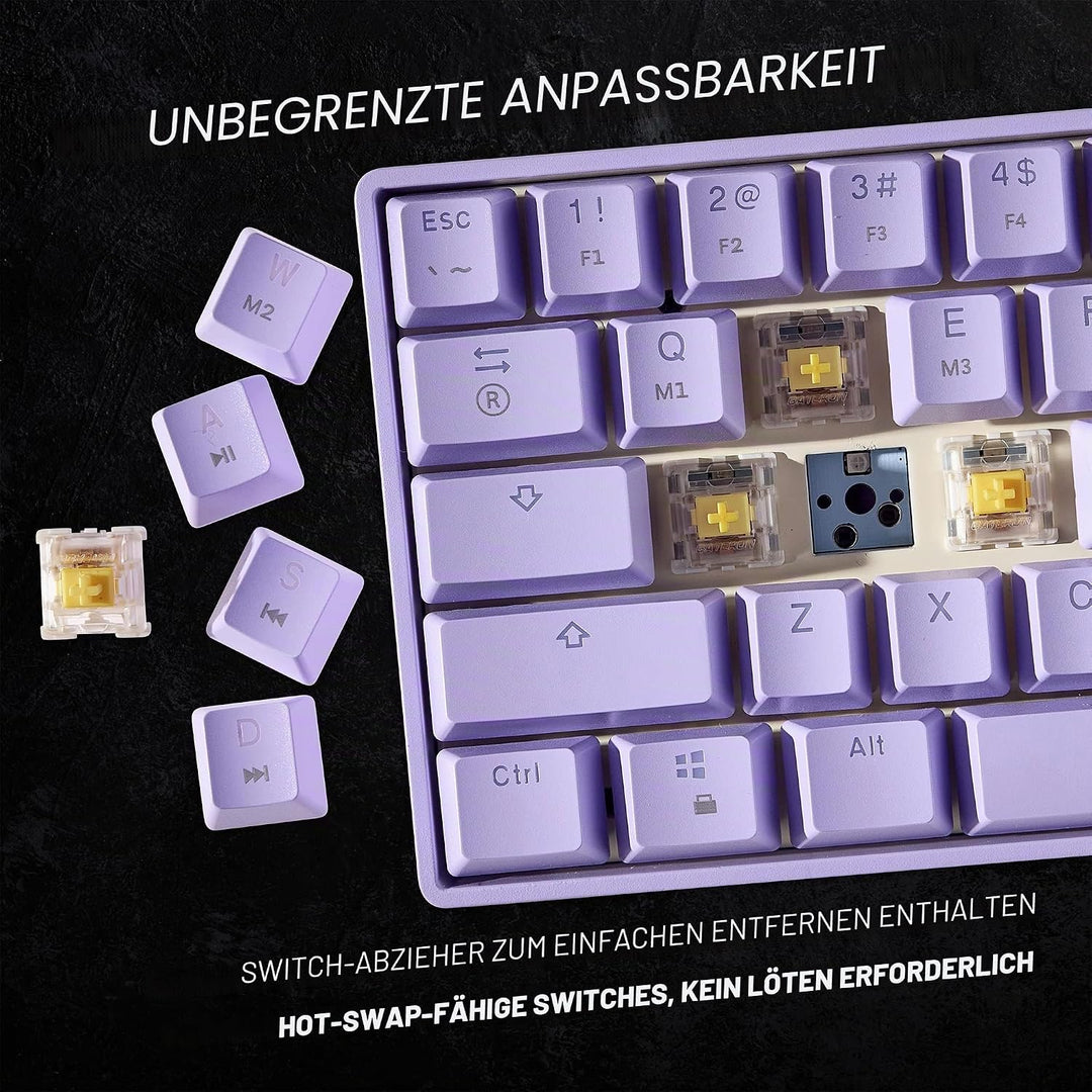 HK Gaming GK61 mechanische 60 Prozent Tastatur | 61 programmierbare Tasten mit RGB Beleuchtung | Win