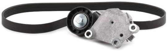 GATES Micro-V Kit K026PK975