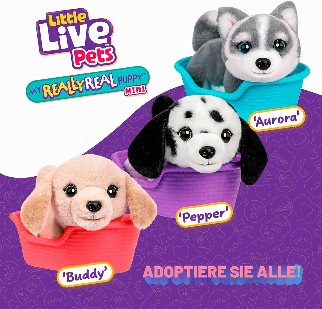 Little Live Pets My Really Real Puppy Minis – Aurora der Husky, interaktiver Puppy mit 20+ Geräusche