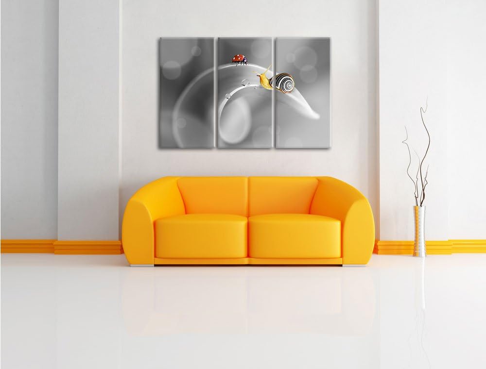 Pixxprint eine Schnecke und Marienkäfer auf Einer Pflanze B&W Detail 3-Teiler Leinwandbild 120x80 Bi
