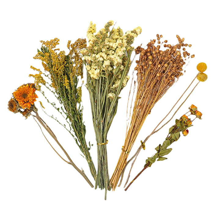Trockenblumen-Bettwäsche für Hamster, natürliche Hamster-Bettwäsche, Kleintierblumen, Lebensraum-, L
