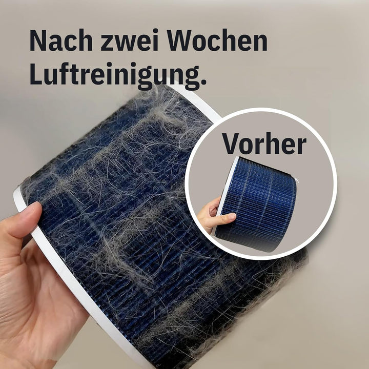 Klyqa Filter-Kit Air Klyna S I Ersatzfilter für Luftreiniger mit HEPA H13 I MicronAir blue Technolog