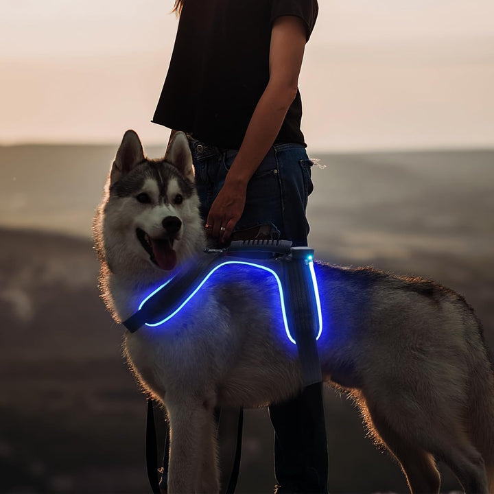 MASBRILL LED Hundegeschirr Leuchtend, Leuchtgeschirr für Hunde Aufladbar Verstellbar LED Leucht Brus