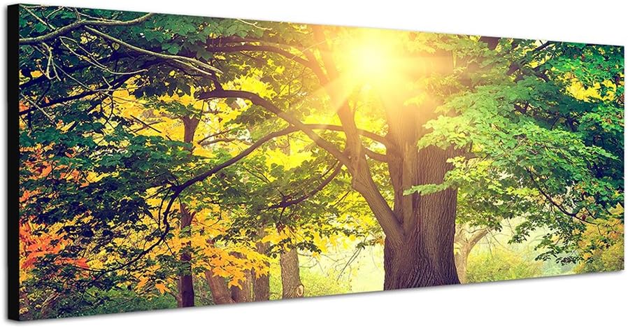 Paul Sinus Art Panoramabild auf Leinwand und Keilrahmen 150x50cm Park Bäume Herbst Blätter Sonnenlic