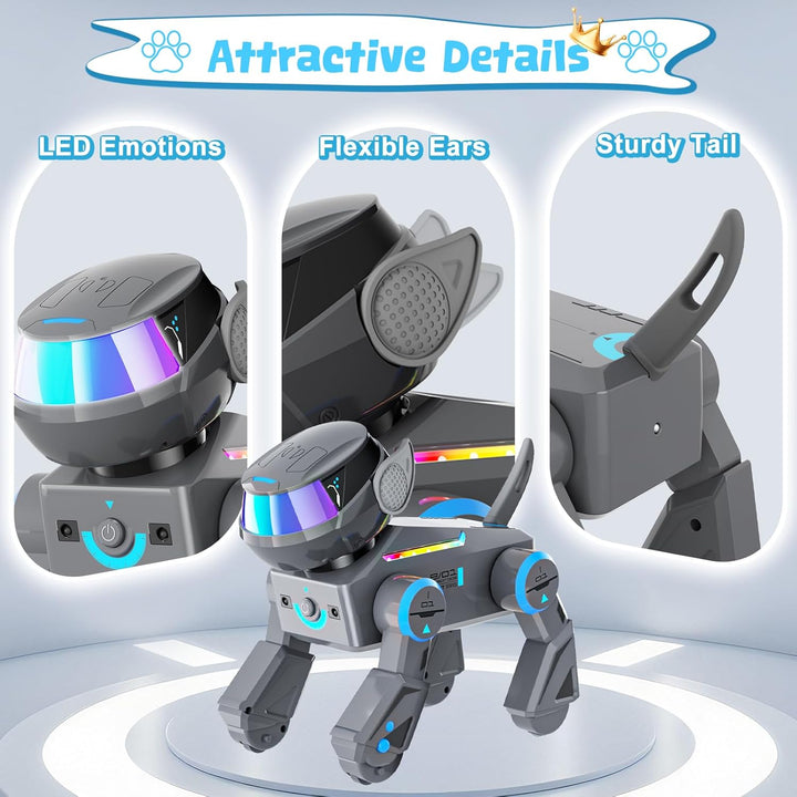 Ferngesteuerter Spielzeug Roboter Hund für Kinder, Schlau Roboter Programmierbar Welpen Spiele mit B