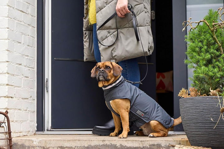 Wolters Outdoorjacke Modern Classic | Hundejacke die perfekt schützt bei Kälte und Nässe | Anthrazit