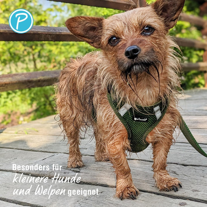 Petlando Hundegeschirr Mesh Vest, leichtes Brustgeschirr aus weichem Mesh &amp; Nylon, stufenlos verstel