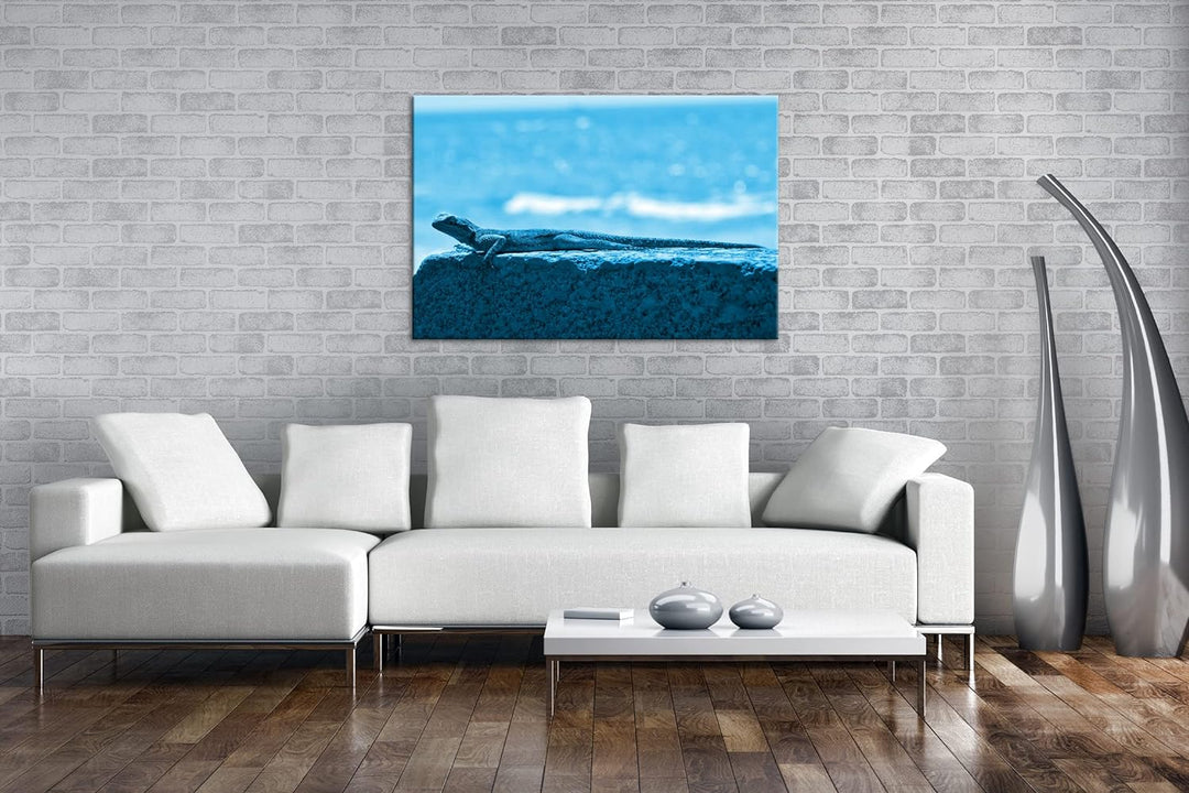deyoli Gecko sonnt sich Format 80x60 Effekt: Monocrome Blau als Leinwandbild, Motiv fertig gerahmt a