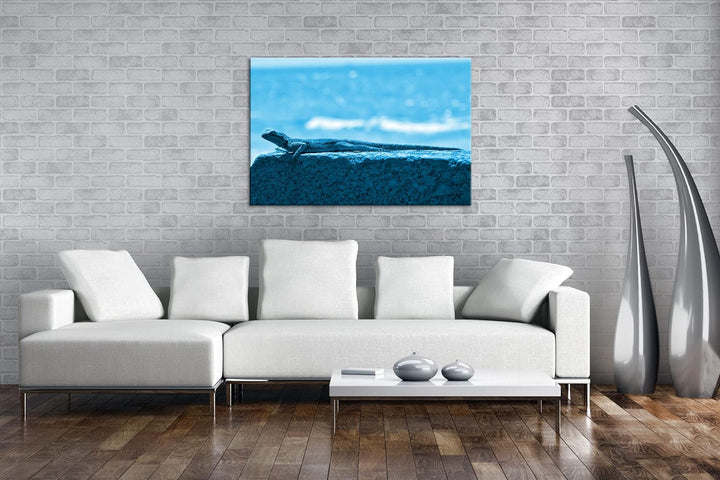deyoli Gecko sonnt sich Format 80x60 Effekt: Monocrome Blau als Leinwandbild, Motiv fertig gerahmt a