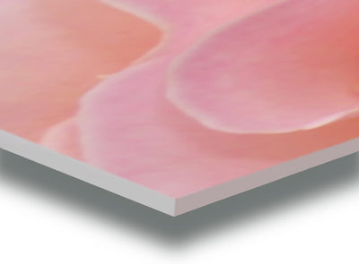 WunschPIXEL – Wandbild Blumen auf weissem Acrylglas, Set 4-teilig je 20x20 cm, quadratisch, Rosen, G