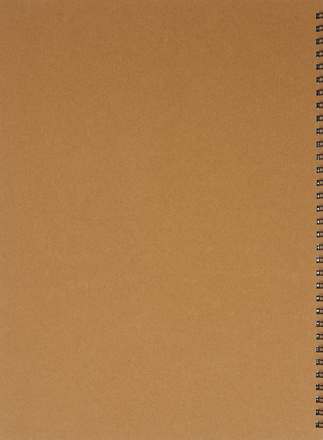 Maruman MNEMOSYNE Notizbuch, 29 x 21,6 cm (A4), 5 mm Punktraster, 70 Blatt (N109), weiss Doppeldraht