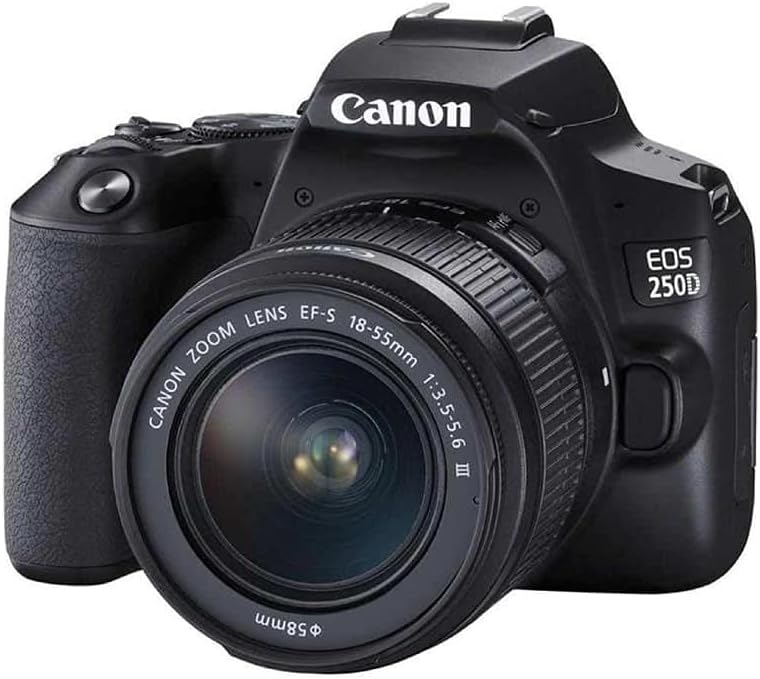 Canon EOS 250D Digitalkamera - mit Objektiv EF-S 18-55mm F4-5.6 IS STM (24, 1 Megapixel, 7, 7 cm (3