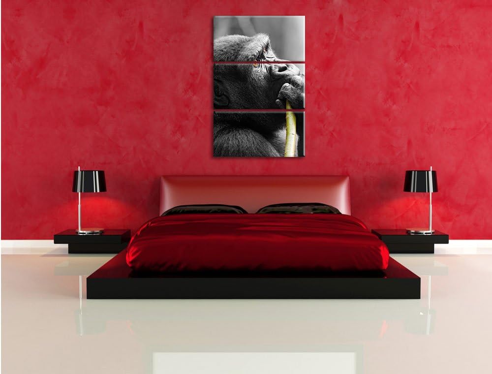 Pixxprint stolzer Gorilla isst als Leinwandbild/Grösse: 3 Teilig (120x80) cm/Wandbild/Kunstdruck/fer