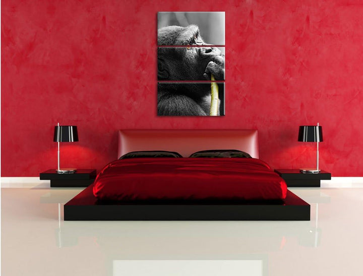 Pixxprint stolzer Gorilla isst als Leinwandbild/Grösse: 3 Teilig (120x80) cm/Wandbild/Kunstdruck/fer