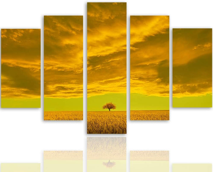 Feeby Bilder Abstrakt 300x140 cm - Leinwandbild 5 Teilig XXL Kunstdruck Wiese Wolke orange Leinwandb