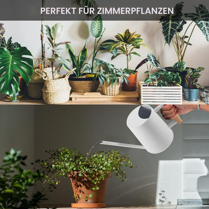 Giesskanne Zimmerpflanzen, 1000ml Metall Edelstahl Giesskanne Kleine Moderne Bewässerung Topf mit la