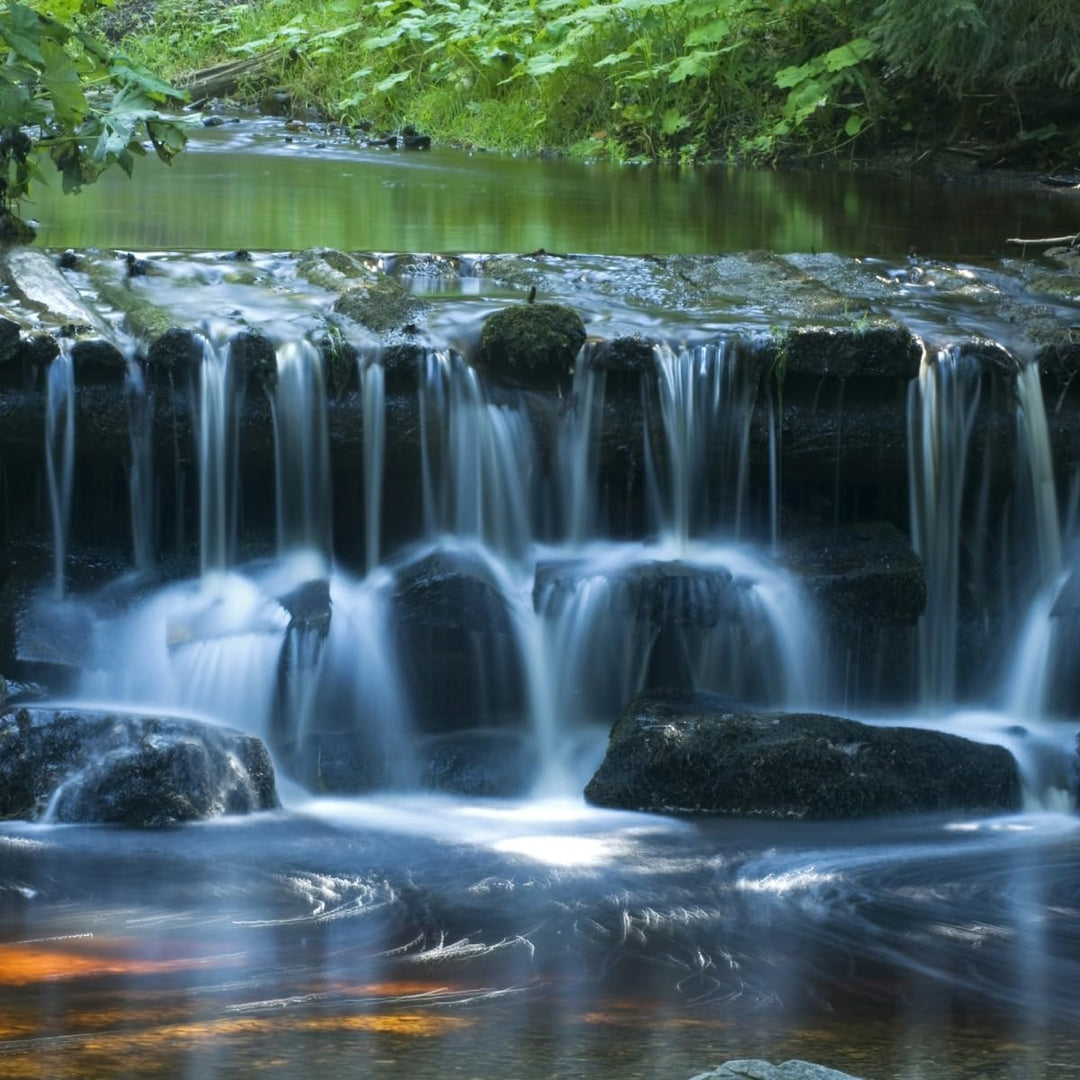 Walimex Pro Graufilter ND8 MC 82mm 82mm Single, 82mm Single