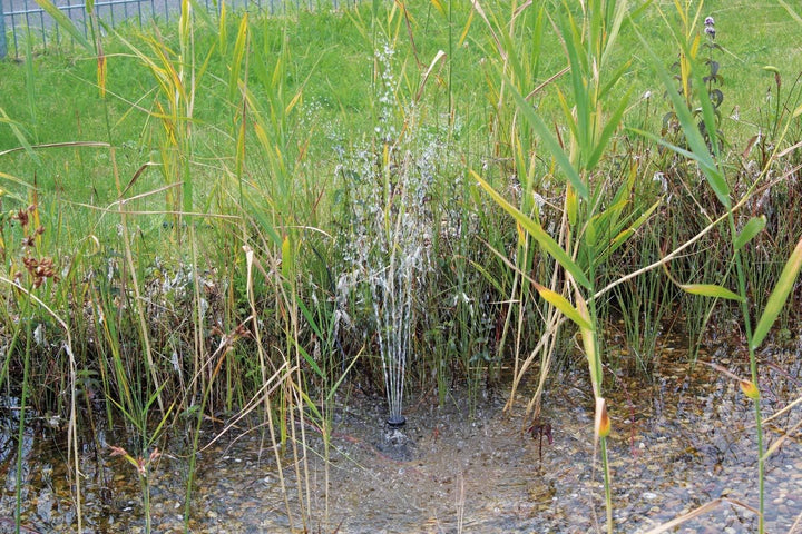 Pontec 43325 PondoSolar 600 Control - Solarwasserspielpumpe mit Akku und LED-Beleuchtung / Solarstro