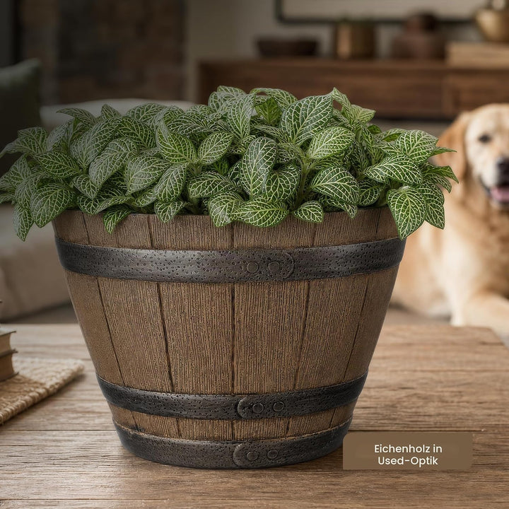 Classic Home and Garden 74 Whiskyfass, 22,9 cm, Eiche im Used-Look 9" Whiskey Barrel Eiche im Used-l