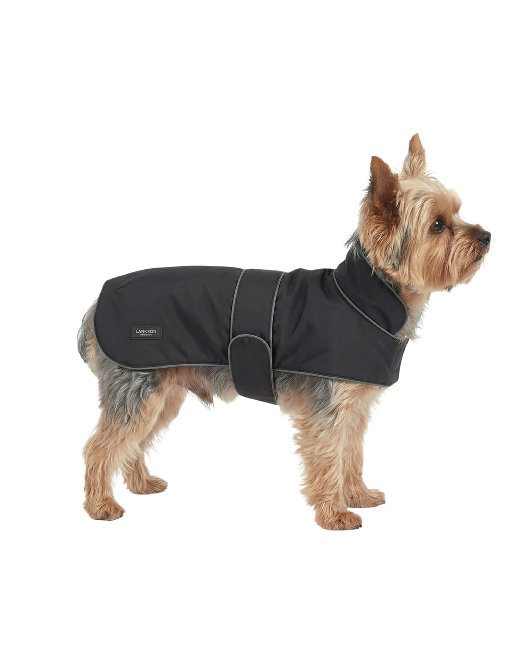 Larkson Hundemantel Schwarz - Jonte - Regenmantel für Kleine & Mittelgrosse Hunde - 10000 mm Wassers