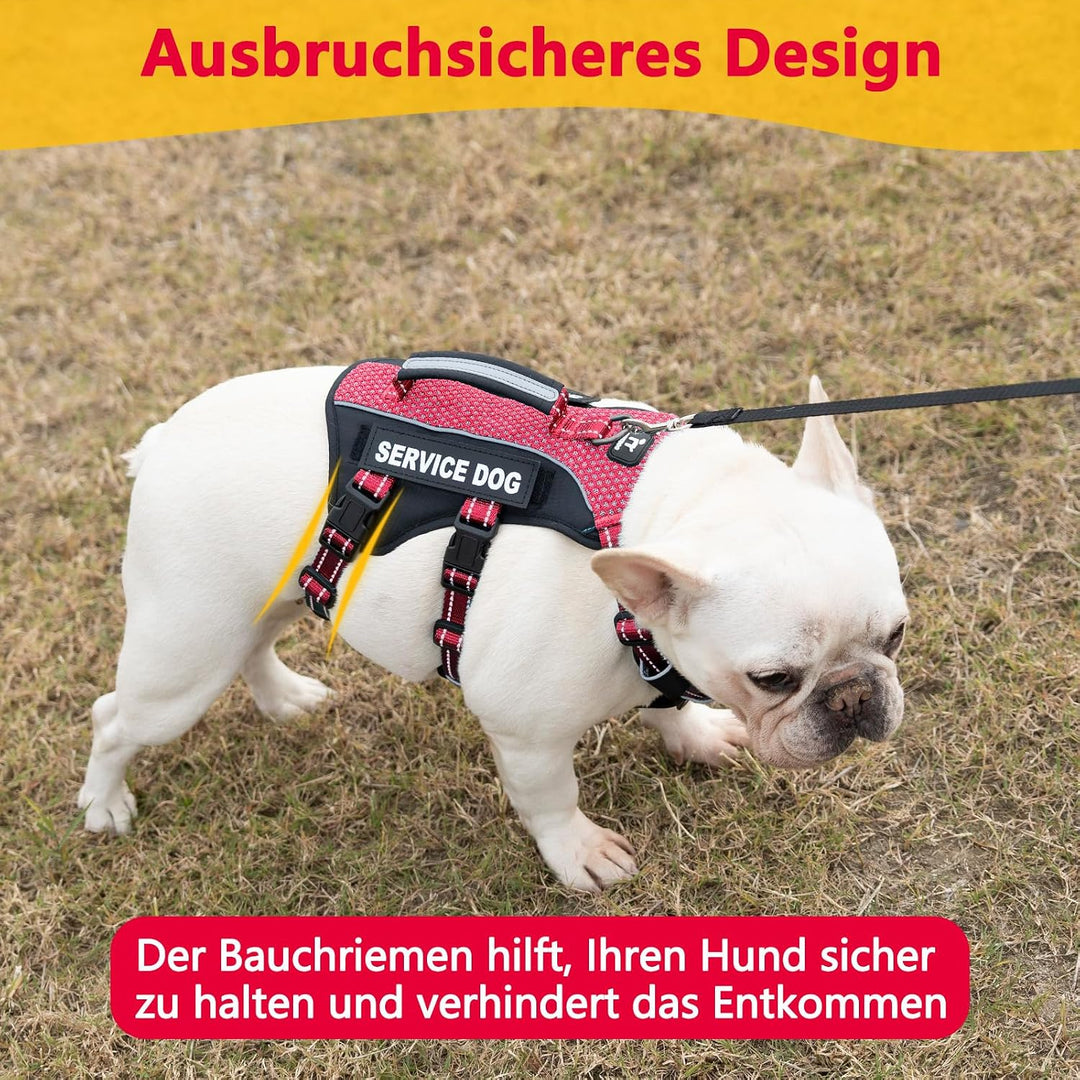 Huntboo Hundegeschirr Kleine Hunde, Sicherheitsgeschirr Hund Ausbruchsicher mit 6 Patches, Service G