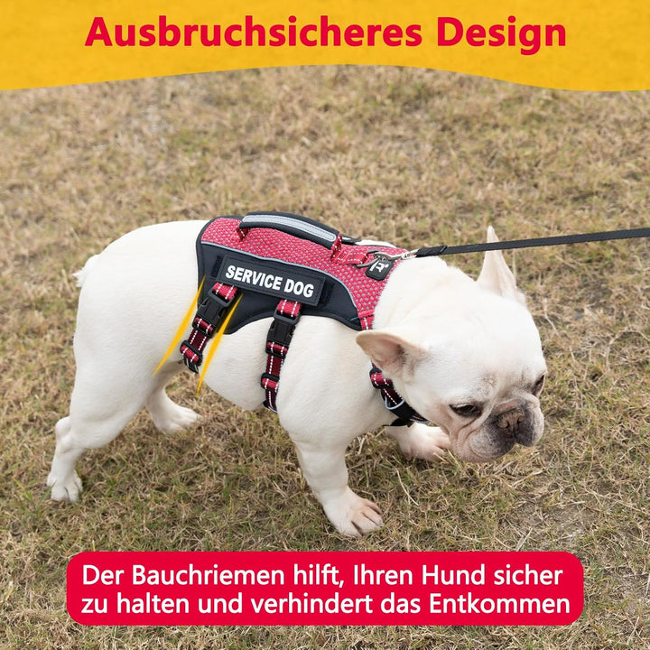 Huntboo Hundegeschirr Kleine Hunde, Sicherheitsgeschirr Hund Ausbruchsicher mit 6 Patches, Service G
