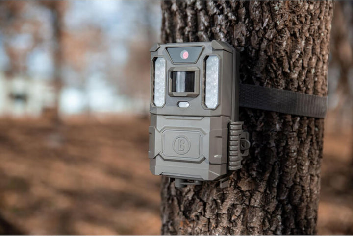 Bushnell Wildkamera Core Prime 24 MP - Fotofalle, Low Glow, hohe Reichweite, mit Befestigungsgurt, Ü