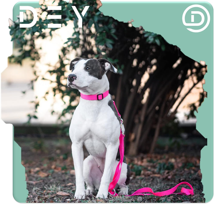 DEY - Premium Hundeleine Nylon 2m | 3fach Verstellbar | für Kleine, Mittelgrosse u. Grosse Hunde | v