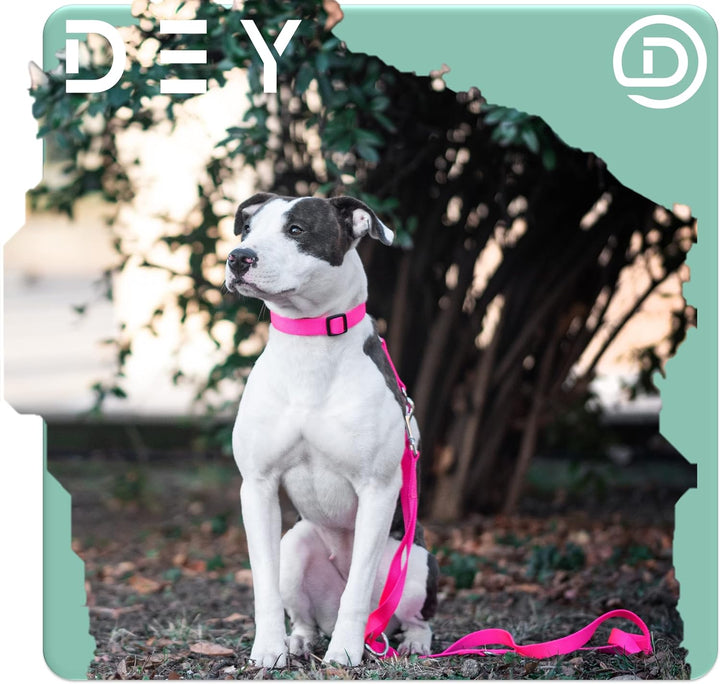 DEY - Premium Hundeleine Nylon 2m | 3fach Verstellbar | für Kleine, Mittelgrosse u. Grosse Hunde | v