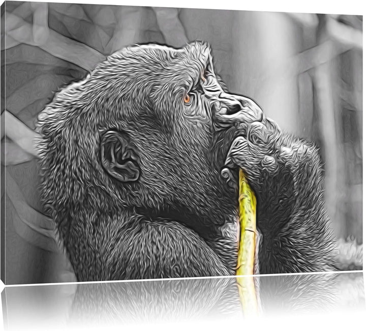 stolzer Gorilla isst schwarz/weiss Deluxe Format: 100x70 cm auf Leinwand, XXL riesige Bilder fertig