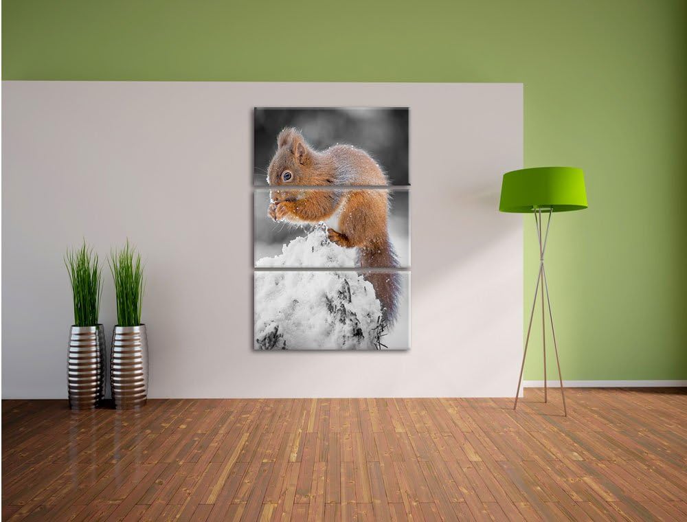 Pixxprint Kleines Eichhörnchen im Winter Schwarz/Weiss 3-Teiler Leinwandbild 120x80 Bild auf Leinwan
