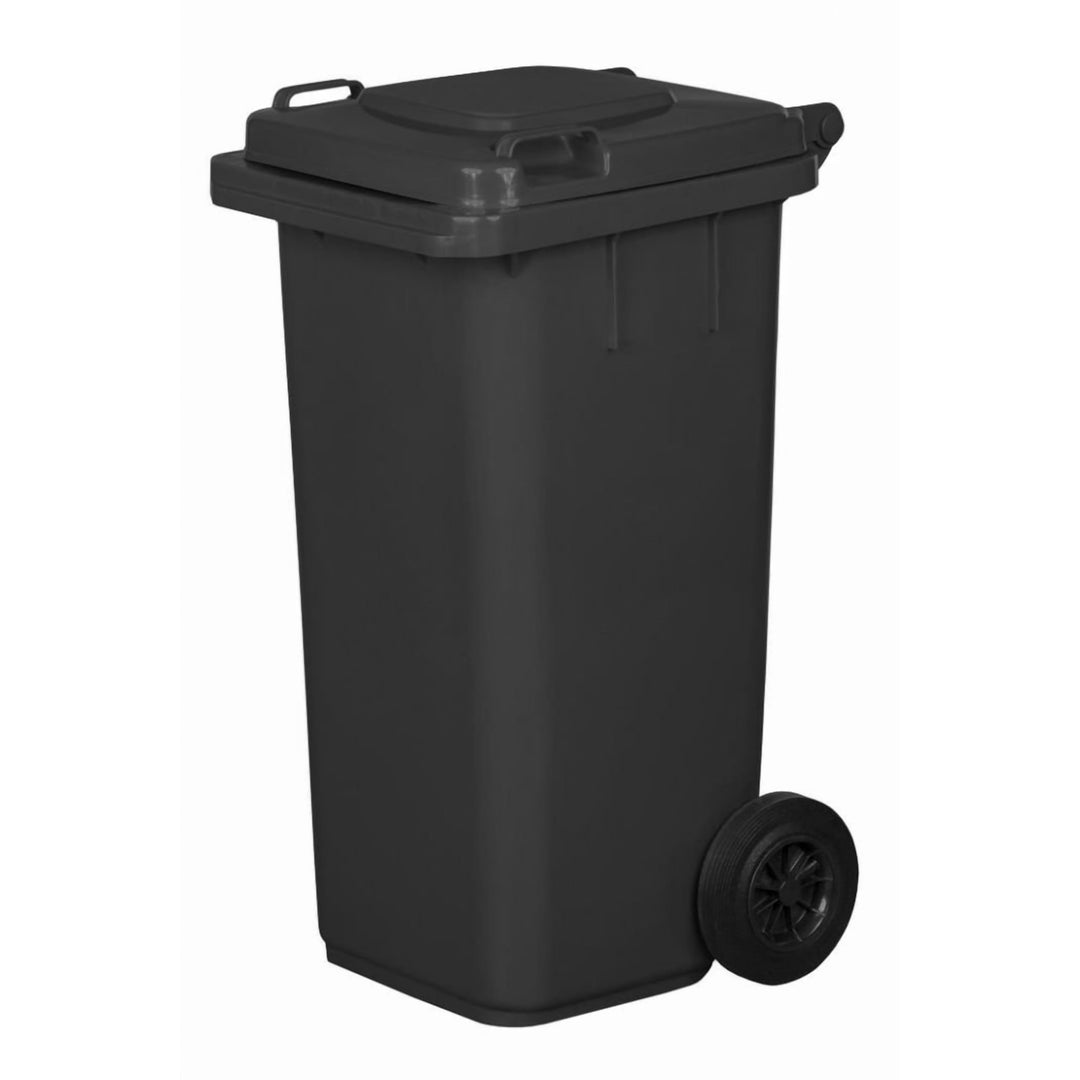 AGROHIT Mülltonne mit 120 Liter Volumen, Abfalltonne mit 2 Leichtgängigen Rädern und Deckel, 2-Rad-M