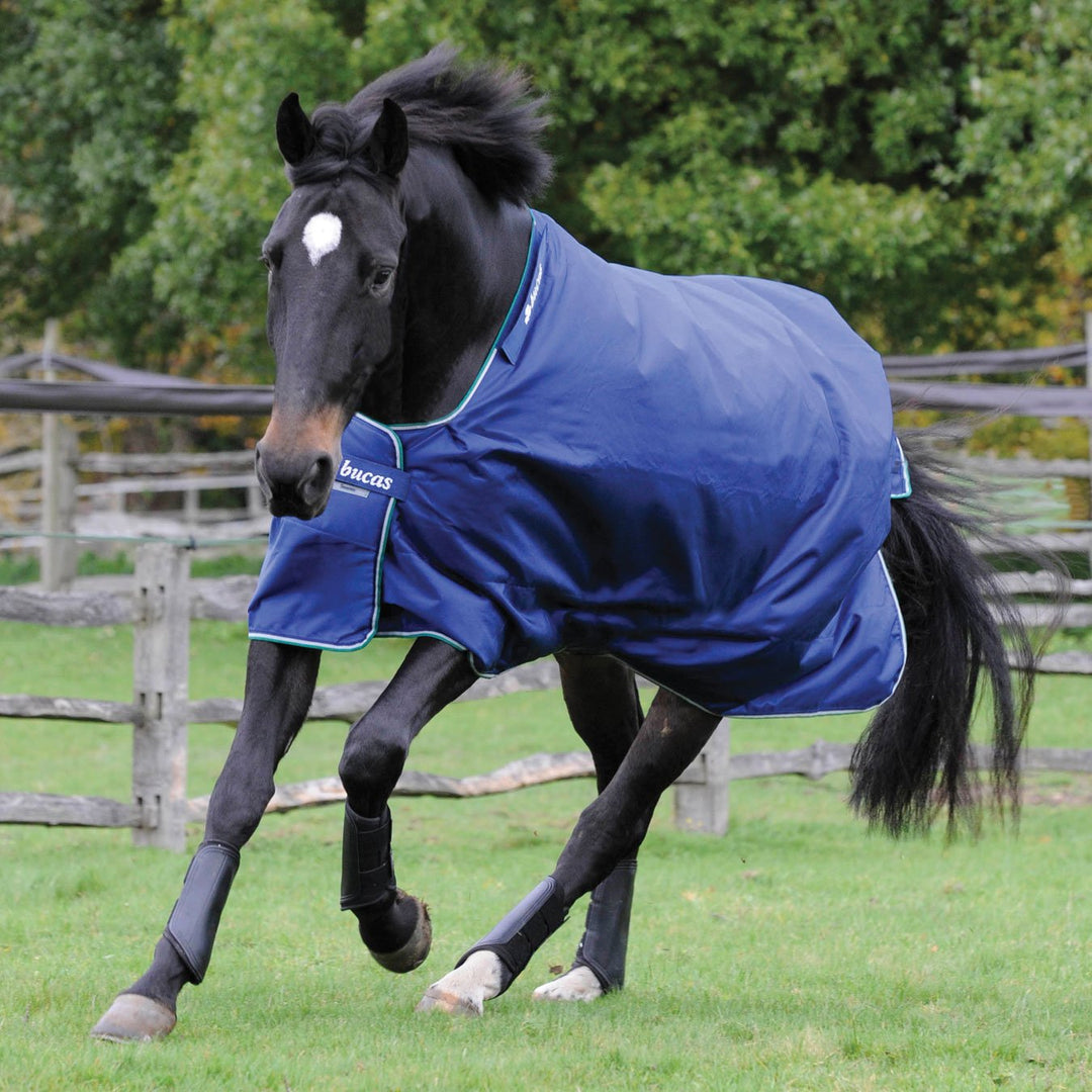 Bucas Smartex Rain, Regendecke, Blau, Rückenlänge 165 cm, 165