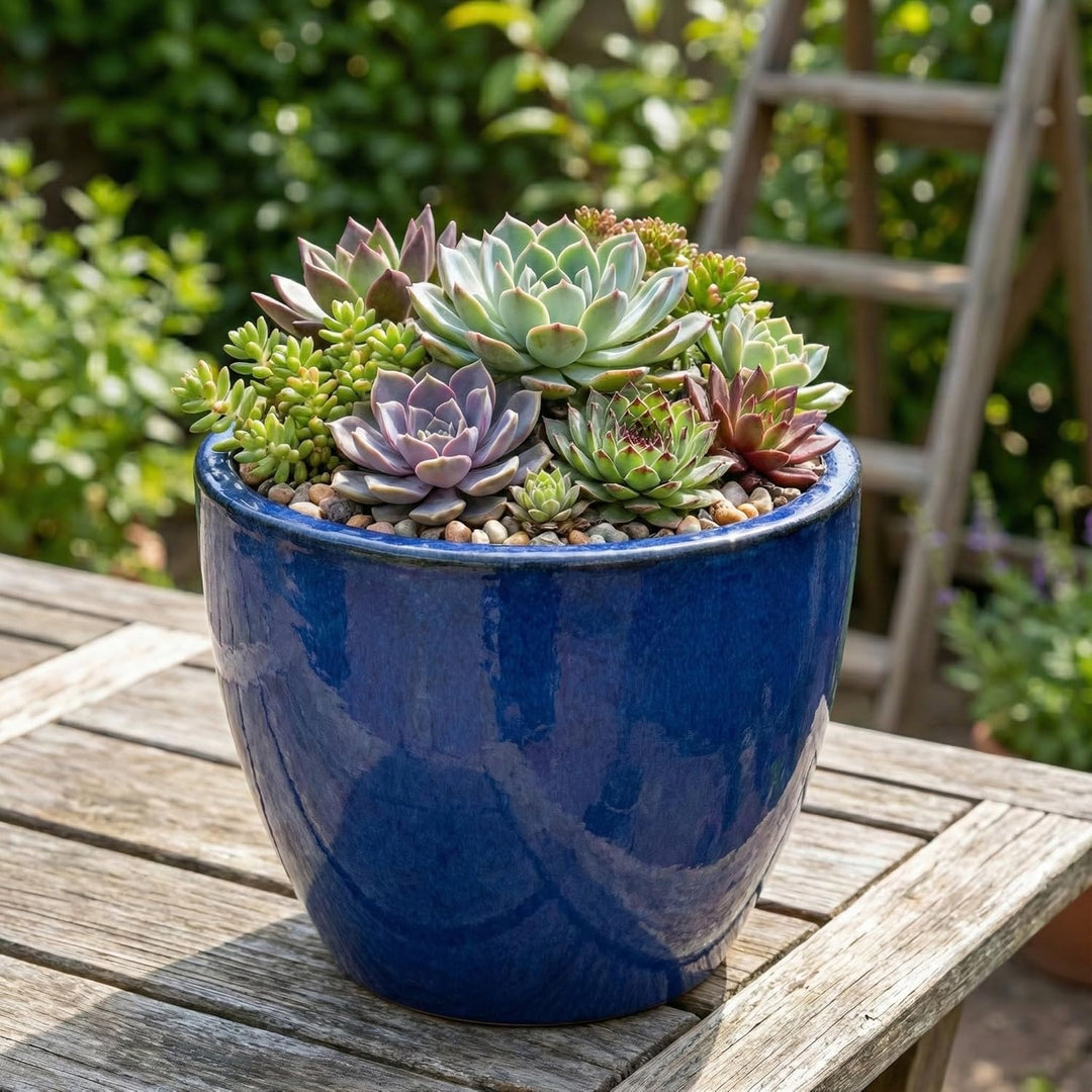 Teramico Premium Pflanzkübel Keramik glasiert – 100% Frostfest & Handarbeit. Blumenkübel mit Loch fü